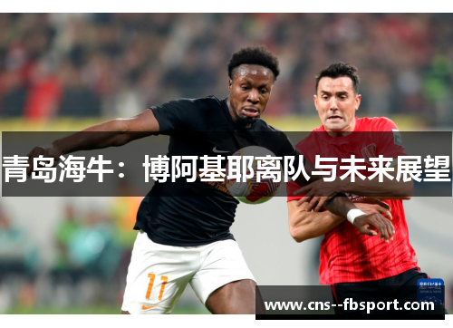 青岛海牛：博阿基耶离队与未来展望
