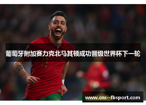 葡萄牙附加赛力克北马其顿成功晋级世界杯下一轮 葡萄牙附加赛力克北马其顿成功晋级世界杯下一轮